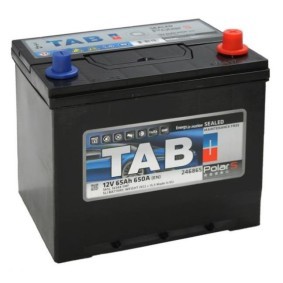 Batterie 246865
