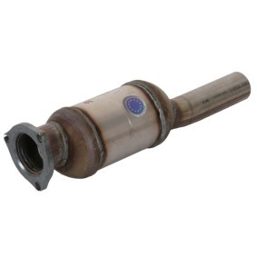 Katalysator 1090348