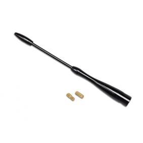 Antenne von AMiO