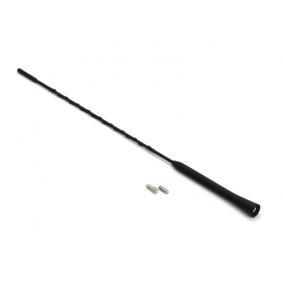 Antenne von AMiO