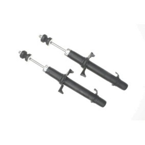 Stoßdämpfer 317 278