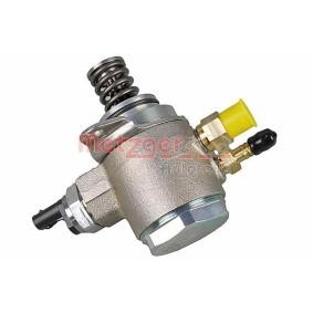 Achetez des Pompe à injection METZGER 2250394 à prix pour 200,71 €