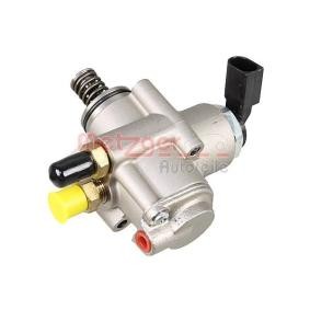 Acquista Pompa ad alta pressione da METZGER 2250399 a buon mercato per soli 325,20 €