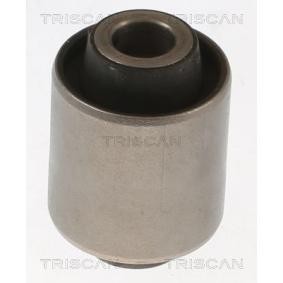 Lagerung, Lenker von TRISCAN 8500 10889