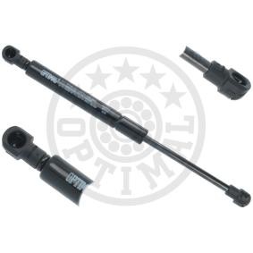 Heckklappendämpfer AG-50242