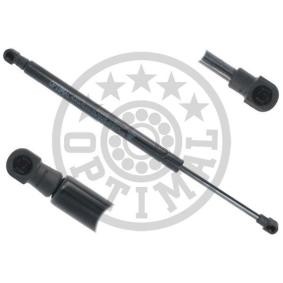 Heckklappendämpfer AG-50305