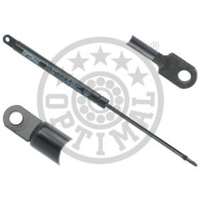Heckklappendämpfer AG-50412