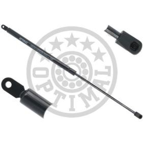 Heckklappendämpfer AG-50885