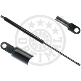 Gasfeder, Flügeltür AG-51319