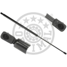 Heckklappendämpfer AG-52072