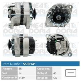 Lichtmaschine 5530141