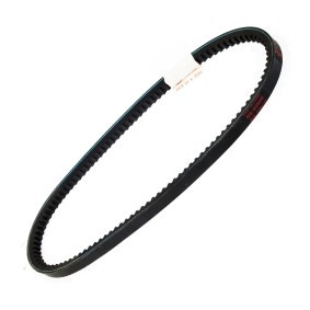 Achetez des Courroie trapézoïdale MASTER-SPORT AVX-13X705-PCS-MS à prix pour 5,15 €
