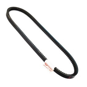Achetez des Courroie trapézoïdale MASTER-SPORT AVX-13X790-PCS-MS à prix pour 5,58 €
