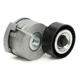 Achetez des Galet enrouleur de courroie d'accessoire MASTER-SPORT N33205-PCS-MS à prix pour 39,36 €