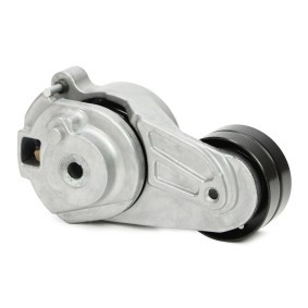 Compre Rolo tensor, correia trapezoidal estriada da MASTER-SPORT N38070-PCS-MS a um preço baixo por 59,19 €