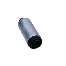 Achetez des Pompe à carburant MAXGEAR 43-0199 à prix pour 53,88 €