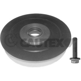 Achetez des Poulie damper (vilebrequin) CAUTEX 752348 à prix pour 147,98 €