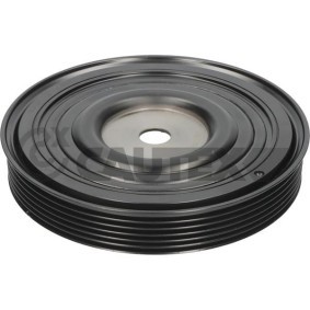 Achetez des Poulie damper (vilebrequin) CAUTEX 754639 à prix pour 81,64 €