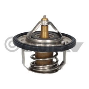 Kühlwasserthermostat für DACIA von CAUTEX