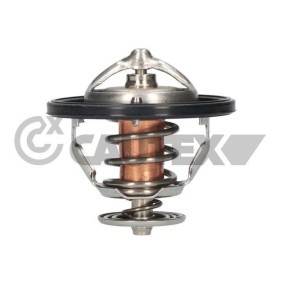 Achetez des Thermostat d'eau CAUTEX 756879 à prix pour 32,45 €