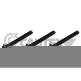 Riemenscheibenschraube 757042