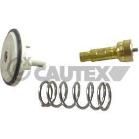 Comprar Termostato, refrigerante de CAUTEX 758452 a bajo precio de 88,71 €