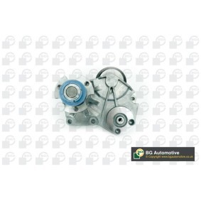Comprar Polea inversión / guía, correa poli V de BGA DC4209 a bajo precio de 129,80 €