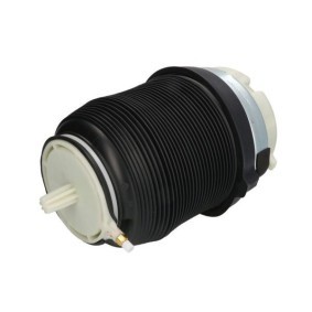 Luftfeder, Fahrwerk MZA006MT von Magnum Technology günstig für 319,12 € online kaufen
