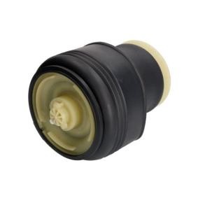 Luftfeder, Fahrwerk MZB016MT von Magnum Technology günstig für 122,97 € online kaufen