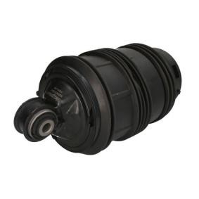 Luftfeder, Fahrwerk MZM013MT von Magnum Technology günstig für 375,86 € online kaufen