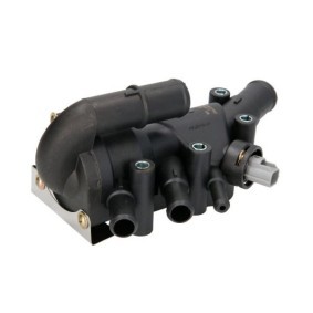Achetez des Thermostat d'eau THERMOTEC D2F011TT à prix pour 30,33 €