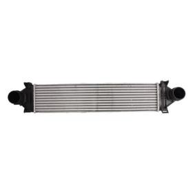 Kjøp Intercooler av THERMOTEC DAI002TT til den lave prisen 1557,64 NOK