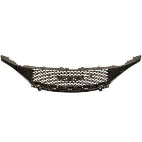 Kühlergrill 6502-07-0941990P