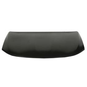 Motorhaube 6803-00-0941280P