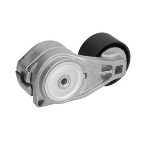 Compre Rolo tensor, correia trapezoidal estriada da BTA B05-02-105 a um preço baixo por 21,80 €