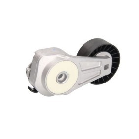 Comprar Tensor de correa poli V de BTA B05-02-106 a bajo precio de 22,40 €
