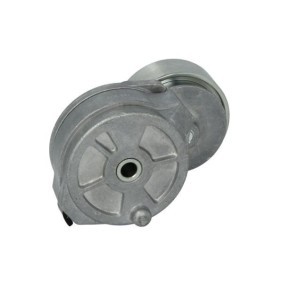 Compre Rolo tensor, correia trapezoidal estriada da BTA B05-02-117 a um preço baixo por 35,51 €