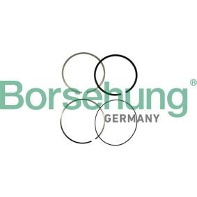 Acquista Kit fasce elastiche da Borsehung B10361 a buon mercato per soli 27,33 €