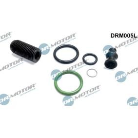 Achetez des Kit de réparation, unité pompe-injecteur DR.MOTOR AUTOMOTIVE DRM005L à prix pour 14,98 €