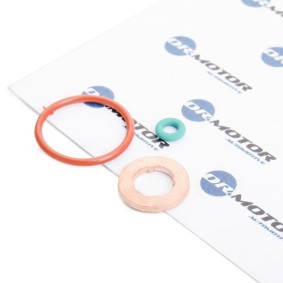 Dichtungssatz, Einspritzdüse von DR.MOTOR AUTOMOTIVE