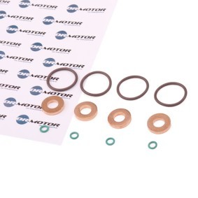 Comprar Anillo retén, portainyectores de DR.MOTOR AUTOMOTIVE DRM0194SL a bajo precio de 21,21 €