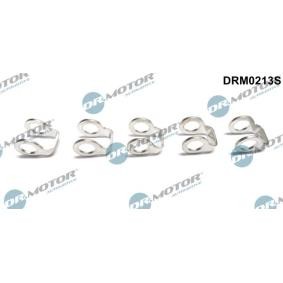 Osta Tiiviste, polttoaineputki DR.MOTOR AUTOMOTIVE:llä DRM0213S edullisesti hintaan 15,48 €