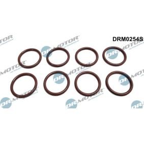 Acquista Kit anelli tenuta, Iniettore da DR.MOTOR AUTOMOTIVE DRM0254S a buon mercato per soli 19,07 €