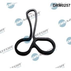 Dichtung, Ölkühler DRM0257