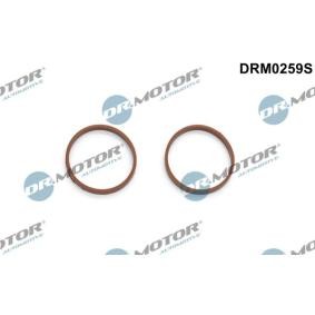 MAZDA Dichtungssatz, Ansaugkrümmer von DR.MOTOR AUTOMOTIVE