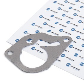 Dichtung, Unterdruckpumpe DRM0289 NISSAN NOTE von DR.MOTOR AUTOMOTIVE