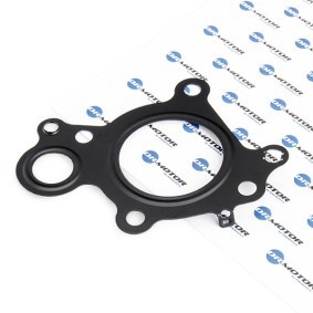 AGR-Ventil-Dichtung DRM0459