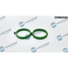 Osta Tiiviste, tyhjäkäyntisäätöventtiili-tuloilma DR.MOTOR AUTOMOTIVE:llä DRM0509 edullisesti hintaan 8,86 €