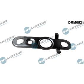 Osta Tiiviste, polttoaineputki DR.MOTOR AUTOMOTIVE:llä DRM0531 edullisesti hintaan 3,89 €
