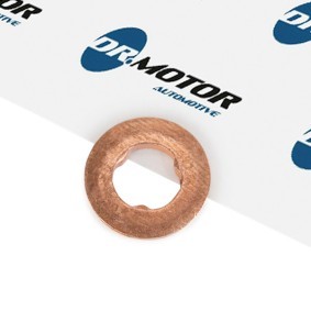 Dichtring, Einspritzventil DRM0567